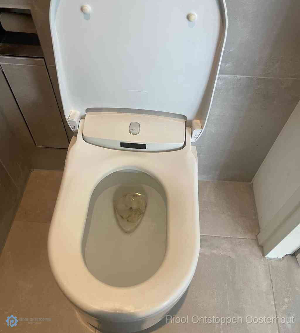 Toilet Ontstoppen Oosterhout